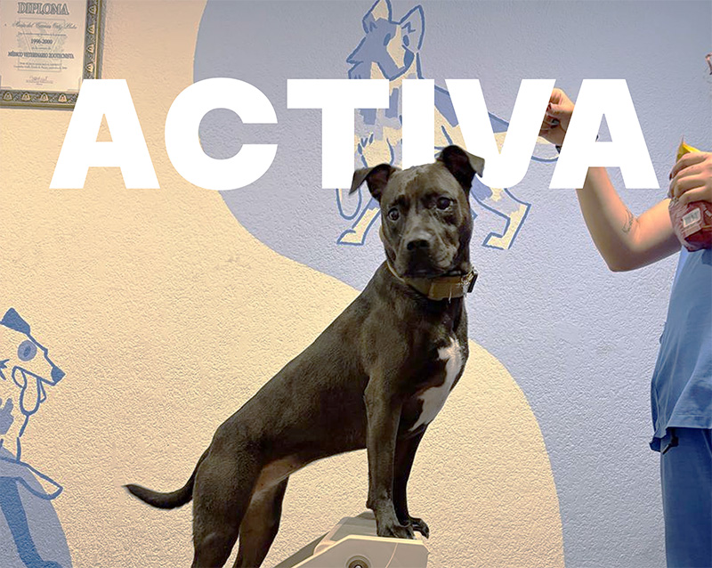 Hidroterapia RPM Center