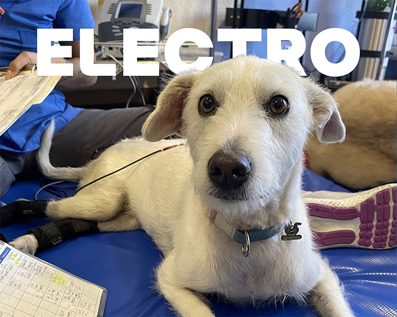 Hidroterapia RPM Center