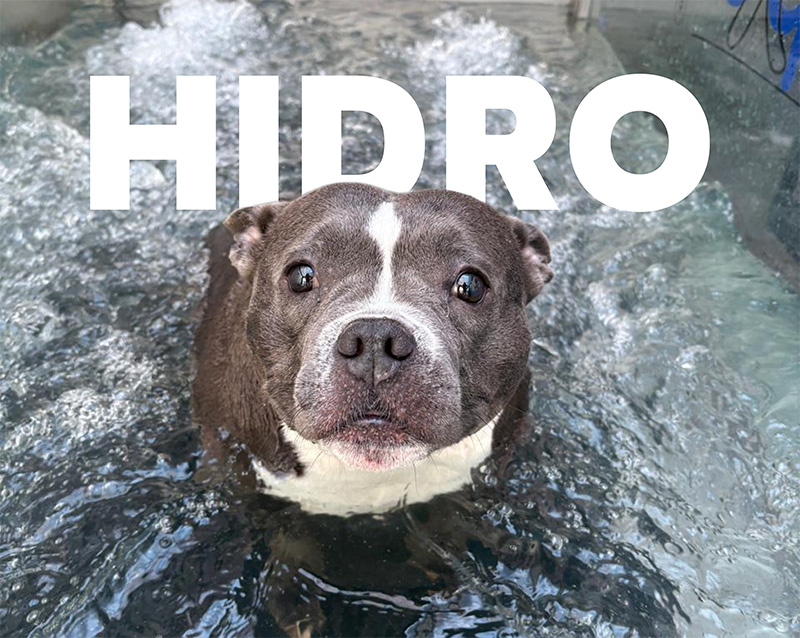 Hidroterapia RPM Center