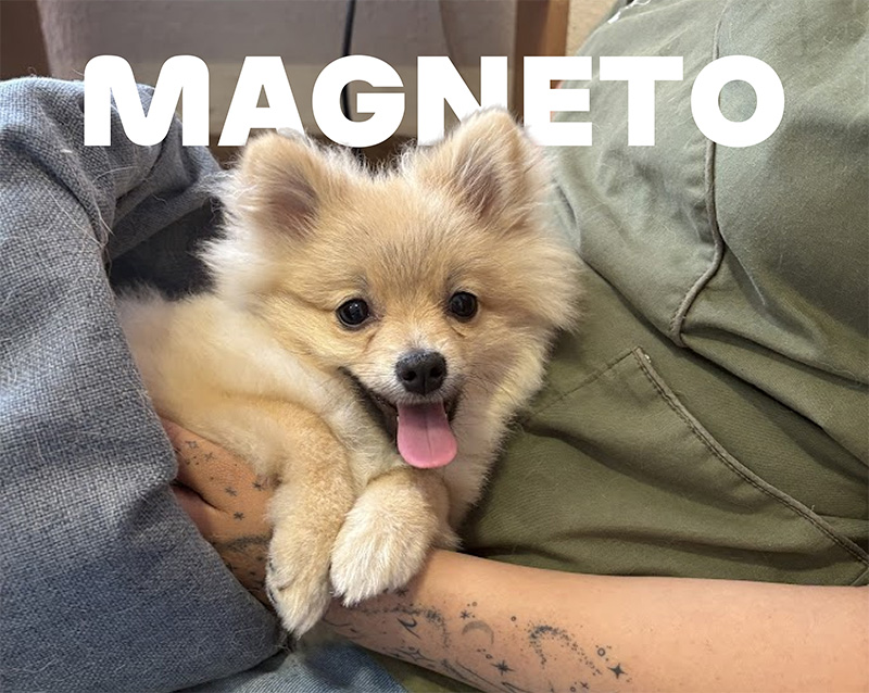 Magnetoterapia RPM Center