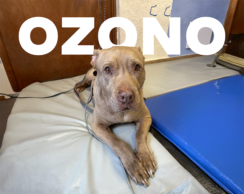 Hidroterapia RPM Center